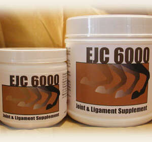 EJC6000 Equine Joint and Ligament Supplement