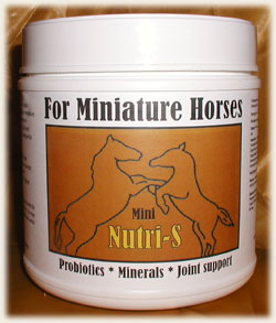 Nutri-S Miniature Horses