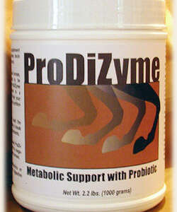 ProDiZyme Metabolic Support with Probiotic